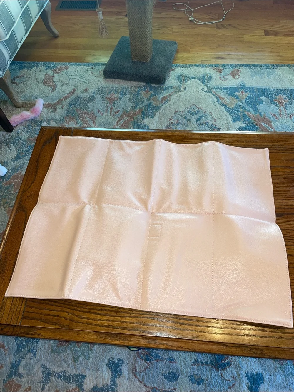 The Changing Clutch - Blush